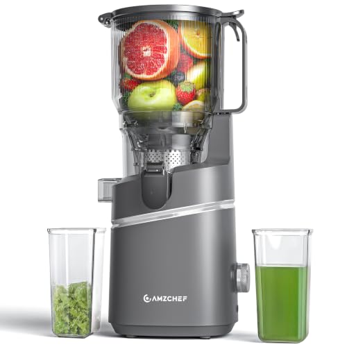 Cold Press Juicer (Gray / 5.8")