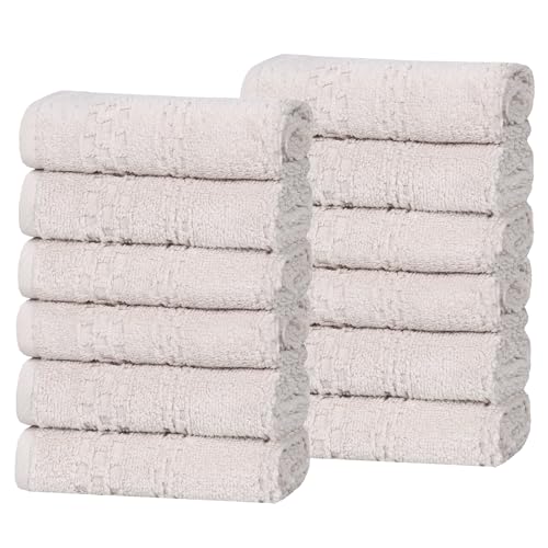 Playa Zero Twist Cotton Medium Weight Small Towels (12 Piece Washcloth / Silver)