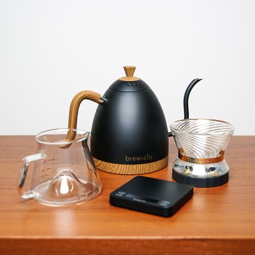 Artisan Electric Gooseneck Kettle (Matte Black)