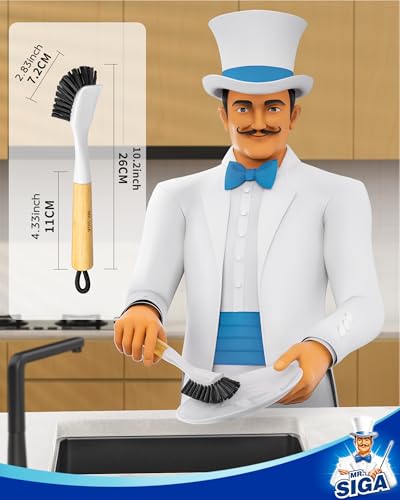 Dish Brush with Handle (2 Count)
