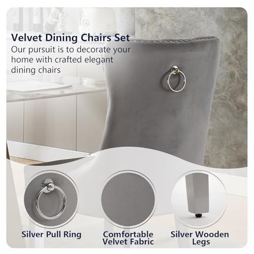 Grey Velvet Dining Chairs Set of 6 (Light Gray)