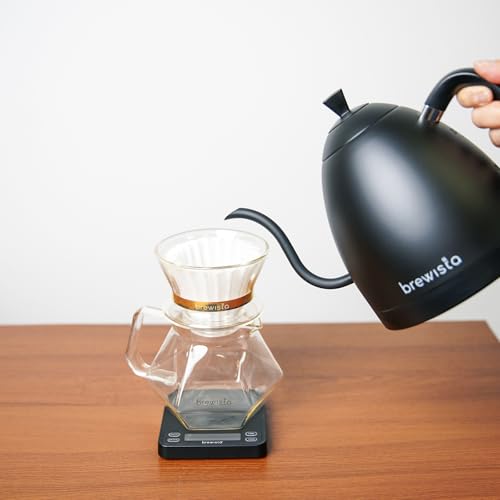 Artisan Electric Gooseneck Kettle (All Black)