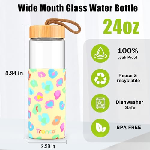 24 oz Glass Water Bottles with Lids (Gravelgray / 24 Ounces)