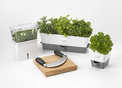 Burwell Self Watering Potted Herb Keeper (Triple Fresh Herb Keeper)
