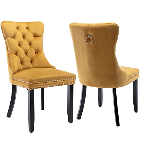 Gold Velvet Dining Chairs Set of 2 (Glod)