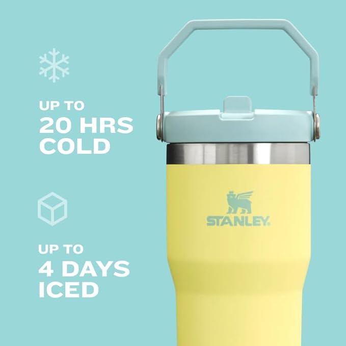STANLEY IceFlow 2.0 Flip Straw Tumbler with Handle 30 oz | Twist On Lid and Flip Up Straw | Leak Resistant Water Bottle | Insulated Stainless Steel | BPA-Free | Meadow
