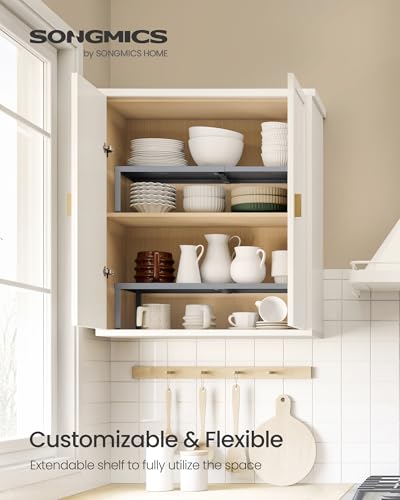 Spice Rack Expandable Kitchen Countertop Shelf (Silver / Set of 2)