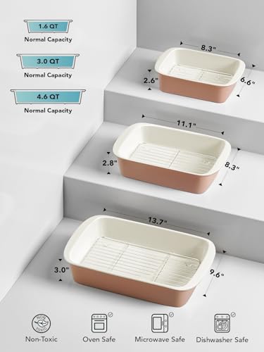 Ceramic Casserole Dishes for Oven with 304 Racks