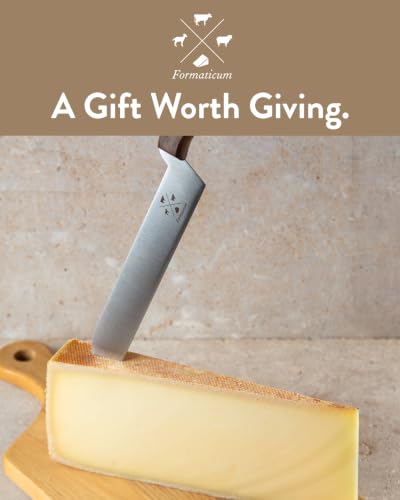 Professional Tasting Cheese Knife