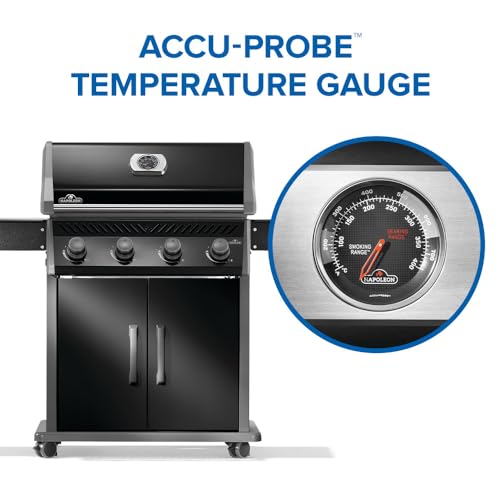 Rogue 525 4 Burner Natural Gas Grill with Stainless Steel Grates (Rogue 525 Natural Gas Black, SS Grids / Rogue 525)