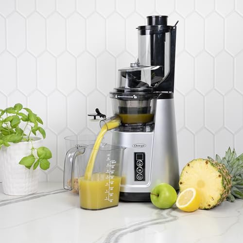 Wide Mouth Juicer Compact Vertical Cold Press Vegetable and Fruit Juice Extractor with 3 (Silver Wide Mouth Vertical)