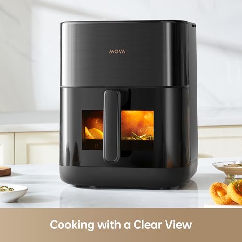 FD10Pro Air Fryer