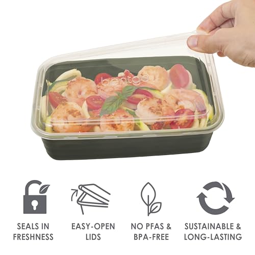 Prep Meal Prep Kit (Rich Shades)