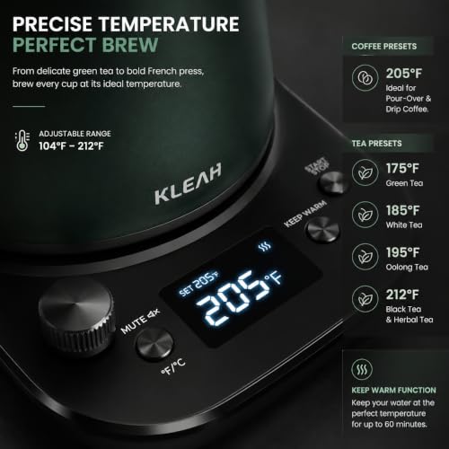 Gooseneck Electric Kettle with Temperature Control (Green)