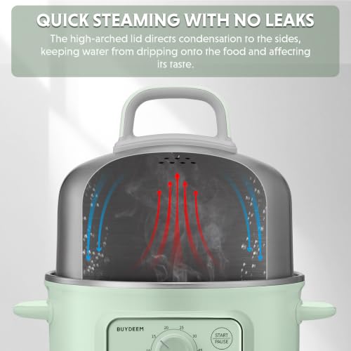 G32 1.6Qt Electric Food Steamer (Cozy Greenish)