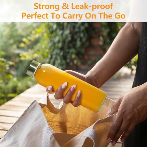 Glass Water Bottles with Stainless Steel Lids 24 oz