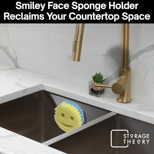 Scrub Daddy Caddy Organizer for Kitchen Sink & Bathroom (Stainless Steel 1 Pack)
