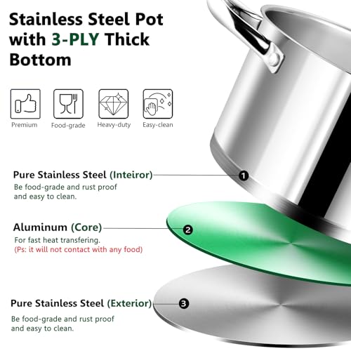 8 Quarts Stock Pot with Lid (8 Quarts)