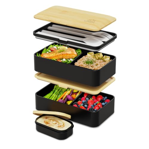 Bento Box Adult