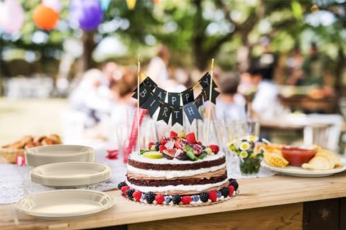 Exquisite Party Solids Sturdy Ivory Plastic Plates 7" Cake Plates 100 Pcs (7 inch / Ivory)
