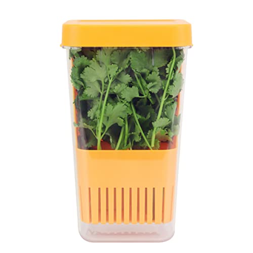 Fresh Herb Keeper for Refrigerator (Herb Keeper - Orange)