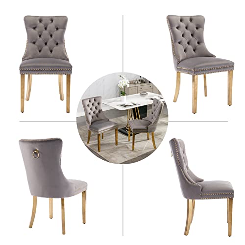 Grey Velvet Dining Chairs Set of 2 (Classic Gray)