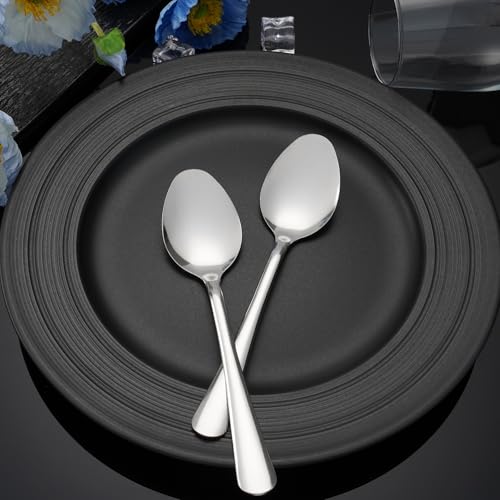 Windsor 36 Pcs Stainless Steel Dinner Spoons (36-piece Dinner Spoon)