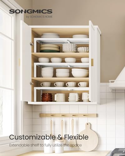 Spice Rack Expandable Kitchen Countertop Shelf