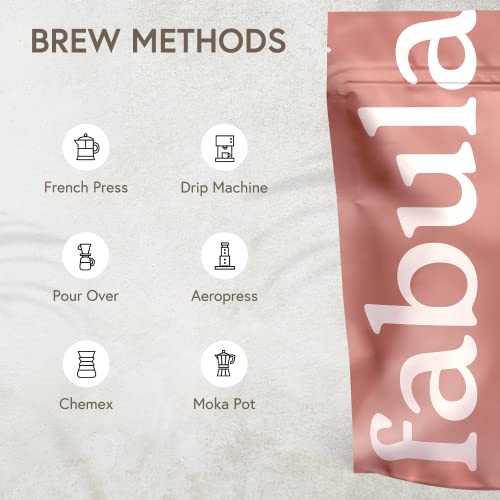 Coffee Light Roast Freshly Ground (12 Ounce (Pack of 1))