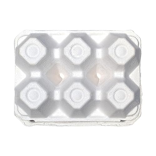 Half Dozen Blank White Egg Cartons (White / 20)