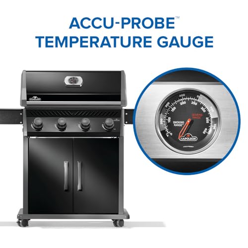Rogue 525 4 Burner Natural Gas Grill