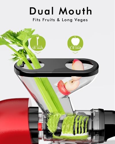 Mini Slow Masticating Juicer (Red)