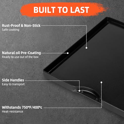 Grill Griddle for Weber Genesis 300 & 400 Series (16.1" x 16.1" x 1.2")