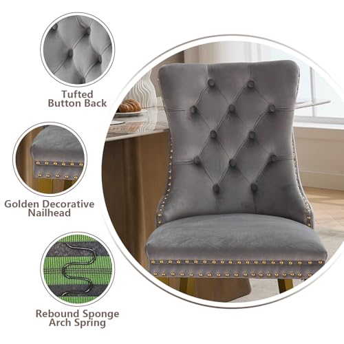 Grey Velvet Dining Chairs Set of 2 (Standard Gray)