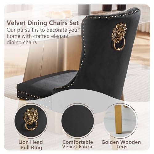Black Velvet Dining Chairs Set of 6 (Classic Black)
