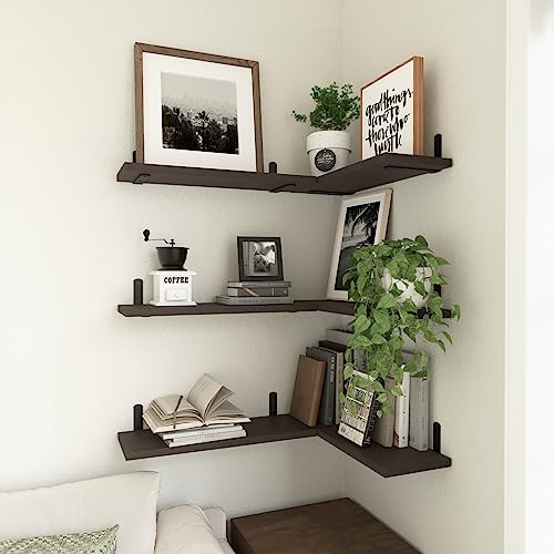 Floating Shelves Set of 6 for Wall Decor & Storage (16.5 Inch / Dark Brown)