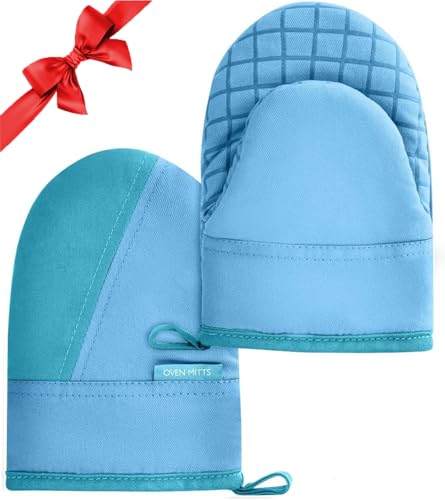 Mini Oven Mitts (Blue)