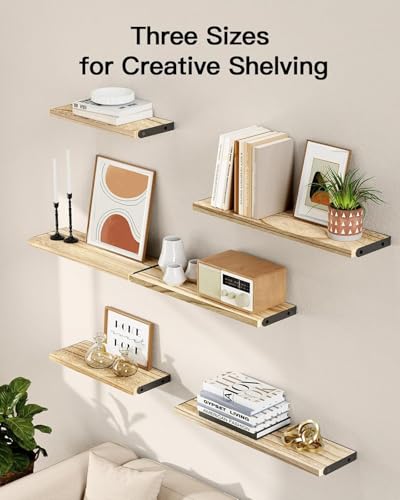 Amada Solid Paulownia Wood Wall Shelves (Wooden / Medium)