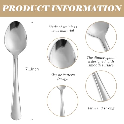 Windsor 120 Pcs Stainless Steel Dinner Spoons (120PCS Dinner Spoon)
