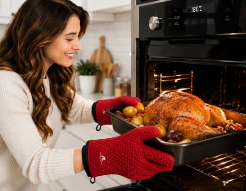 Silicone Oven Gloves (Red)
