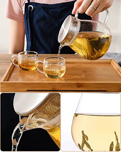 Glass Teapot with Removable Stainless Steel Filter Lid Stovetop & Microwave Safe Borosilicate Glass Kettle for Loose Leaf (24OZ)