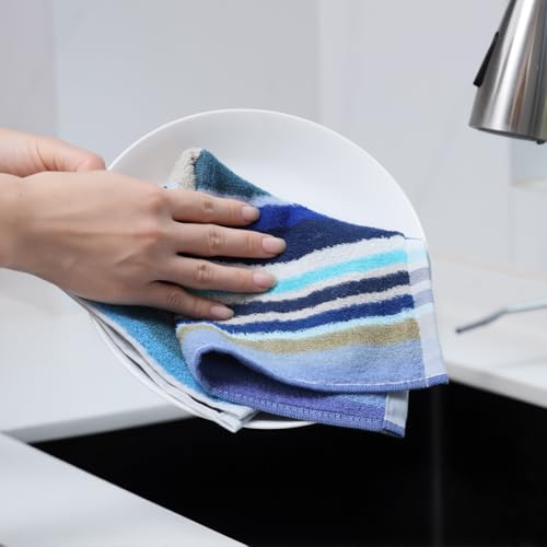 Dish Cloths for Washing Dishes (Wide Stirpe / 12x12 inch)