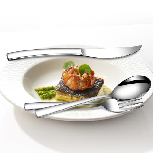 20 Piece Silverware Set for 4 with Steak Knives