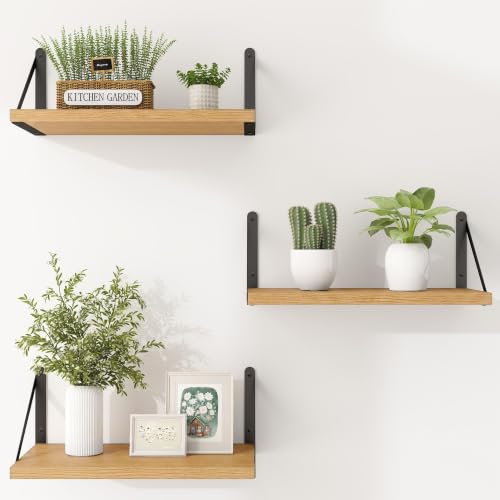 Floating Book Shelves for Wall