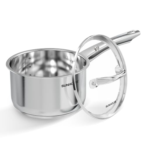Stainless Steel Saucepan