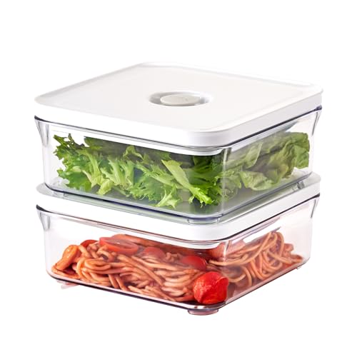 Premium Airtight Food Storage Containers (MINI SQUARE 0.8LX2PCS)