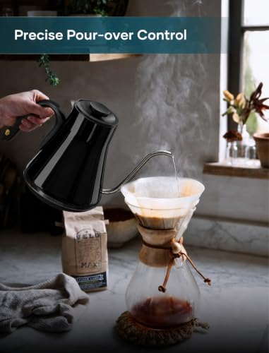 Gooseneck Electric Kettle with ±1℉ Temperature Control 0.9 Liter (Soulages Black)