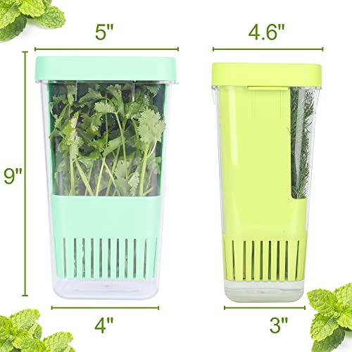 2 Pack Fresh Herb Keeper for Refrigerator (2 Pack)