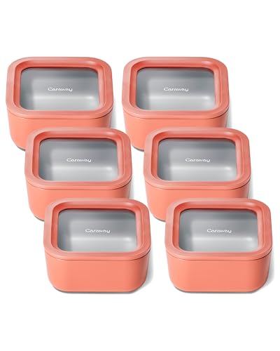 6 Piece Glass Food Storage Container Set (Perracotta / 4.4 Cup Food Storage (6x))