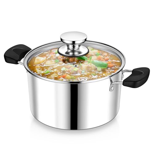 5 Qt Pot with Lid (5 Quarts)